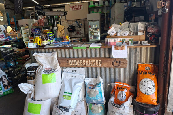 Inside shop counter at Gidgegannup Produce & Saddlery